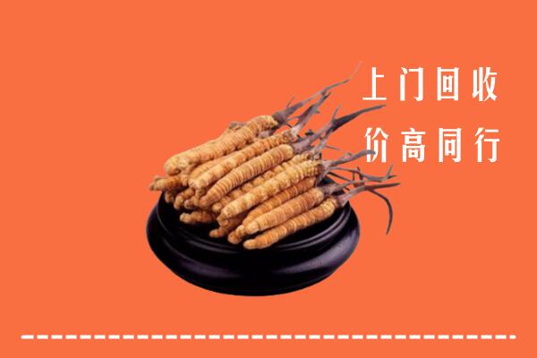 高价求购：肃州区回收散虫草