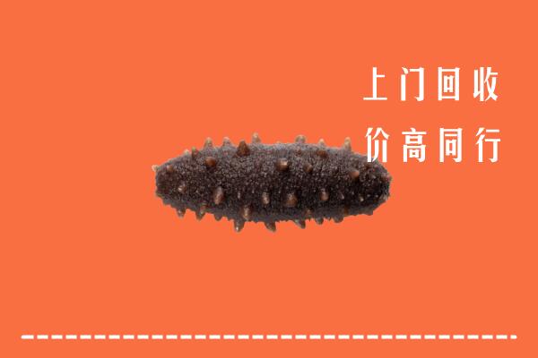 肃州区高价回收海参