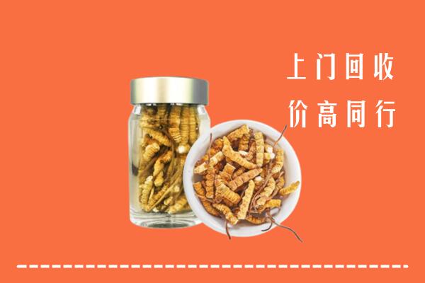肃州区回收冬虫夏草